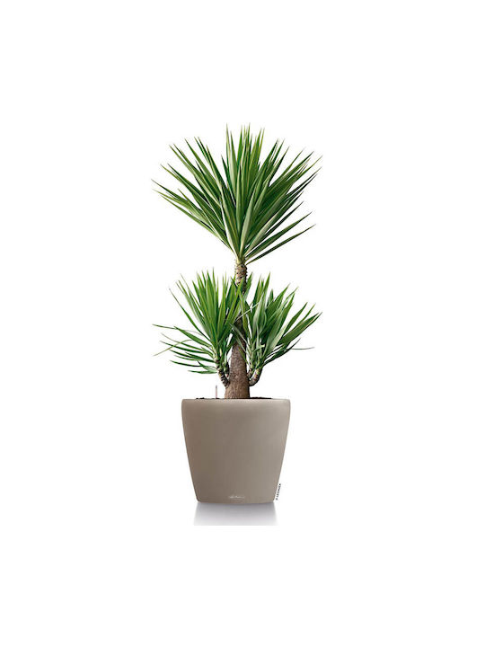 Lechuza Classico Self-Watering Flower Pot Sand Brown 50x50x46cm