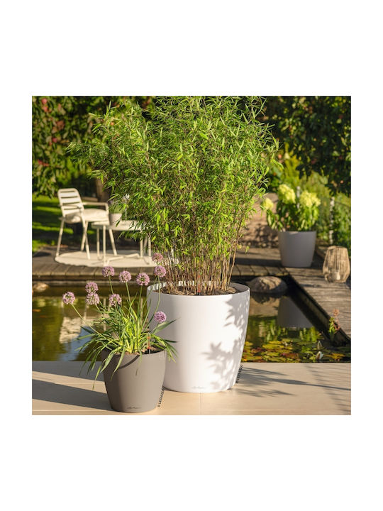 Lechuza Classico Self-Watering Flower Pot Sand Brown 50x50x46cm
