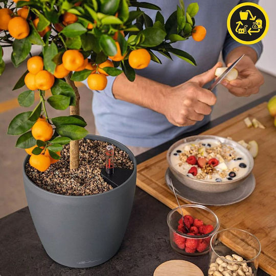Lechuza Classico Eco Self-Watering Plastic Flower Pot Dark Gray 49x49x46cm