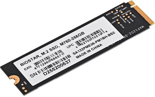 Biostar M760 SSD 256GB M.2 Type with PCI Express 3.0 Connection