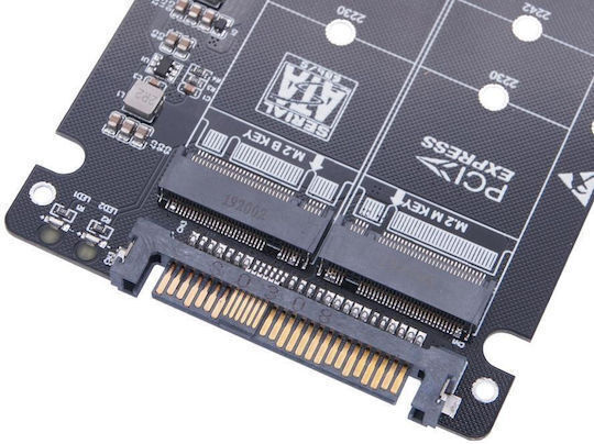 Ngff M.2 Nvme To U.2 2 Ports Adapter Card Dual Ssd To U.2 Sff-8639 Card Adapter