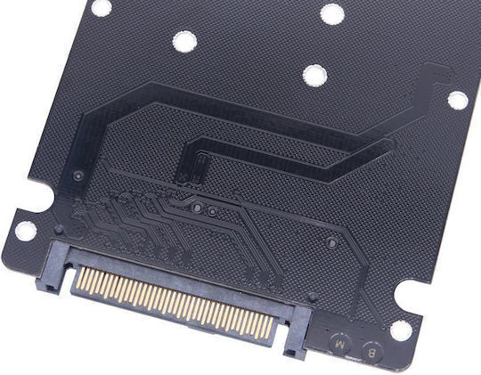 Ngff M.2 Nvme To U.2 2 Ports Adapter Card Dual Ssd To U.2 Sff-8639 Card Adapter