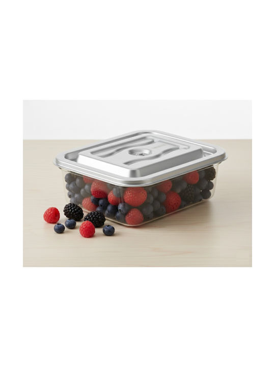 Colorato Glass Lunch Box Silver 4.8lt