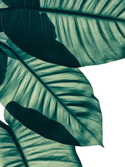 Poster Tropical Palm Leaf Pst25155 21cm X 30cm Λευκό Κάδρο Pvc