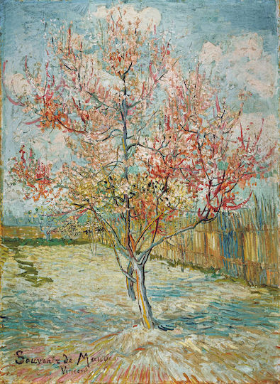 I-gallery Картина Копие на Ван Гог Платнен 40x60см