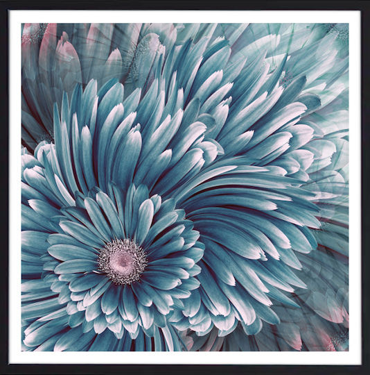 Walls Colorful Daisies Ξύλινο