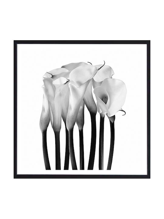 Walls Frame Wooden 60x60cm