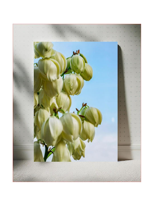 Πίνακας Blooming Yucca Flowers Ανθισμένα Λουλούδια Yucca 80x120