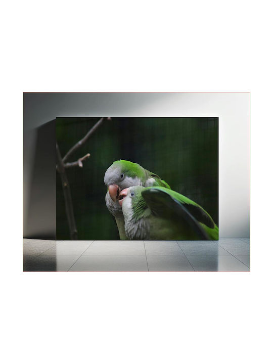Πίνακας Pair Parrots In Nature Ζευγάρι Παπαγάλων Στη Φύση 100x70