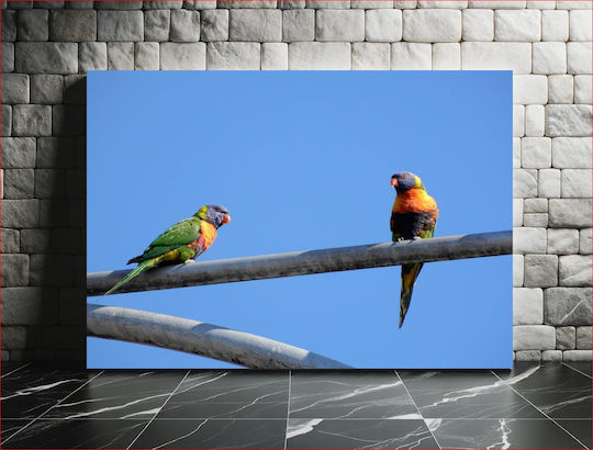 Parrots On A Metal Bar Παπαγάλοι Σε Μεταλλική Μπάρα 1