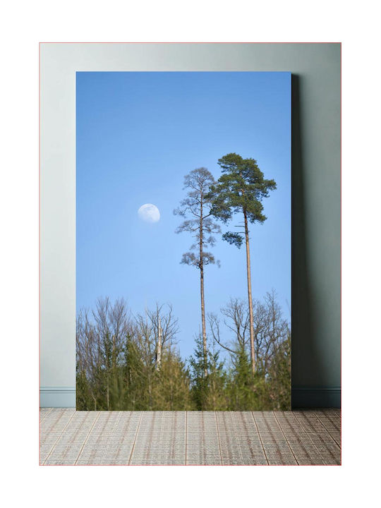 Πίνακας Tall Trees Under Moonlight Ψηλά Δέντρα Κάτω Φως Του Φεγγαριού 115x170
