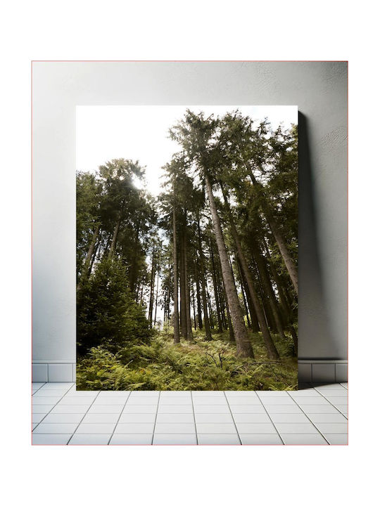 Πίνακας Forest Trees Under Sunlight Δασικά Δέντρα Κάτω Φως Του Ήλιου 115x170