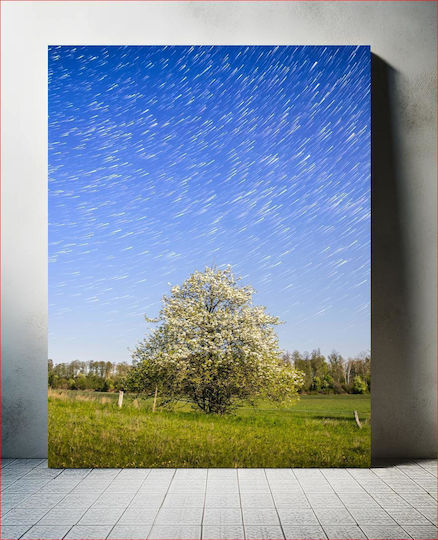 Tree Under Starry Night Sky Δέντρο Κάτω Από Τον Έναστρο Νυχτερινό Ουρανό σε Καμβά