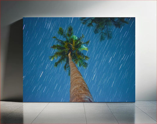 Palm Tree Under Starry Night Φοίνικας Κάτω Από Την Έναστρη Νύχτα 1 σε Καμβά