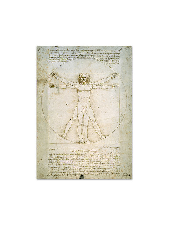 Canvas Leonardo Da Vinci The Vitruvian Man 127x179
