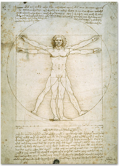 Canvas Leonardo Da Vinci The Vitruvian Man 47x66