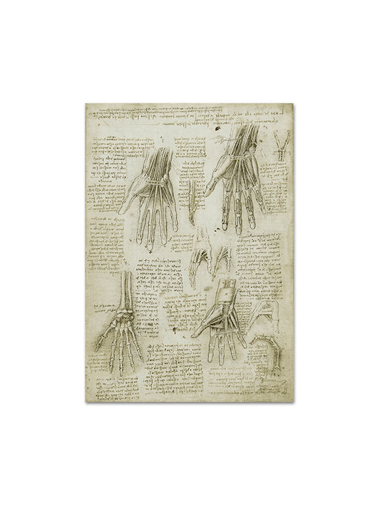 Καμβάς Leonardo Da Vinci Οστά Οι Μύες Οι Τένοντες Του Χεριού 46χ66
