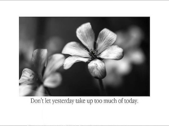 Today's Quote P