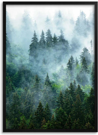 Wandbild Poster Wand Für Wohnzimmer Für Büro Für Schlafzimmer Wald Bäume 70x100 Wandbild Poster Wand Für Wohnzimmer Für Büro Für Schlafzimmer Wald Bäume 70x100