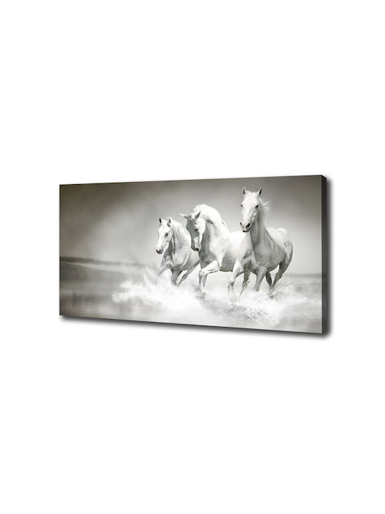 Wandbild Segeltuch Robuste Materialen Weißes Pferd 100x50 cm