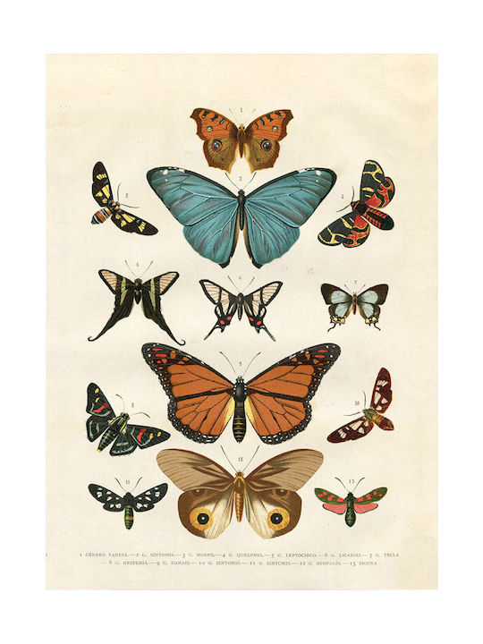 Fylliana Gold Butterflies Κάδρο σε Καμβά 50x70cm