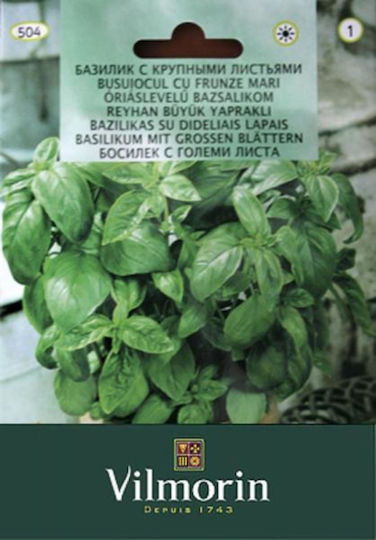 Vilmorin Σπόροι Βασιλικός Πλατύφυλλος 1gr