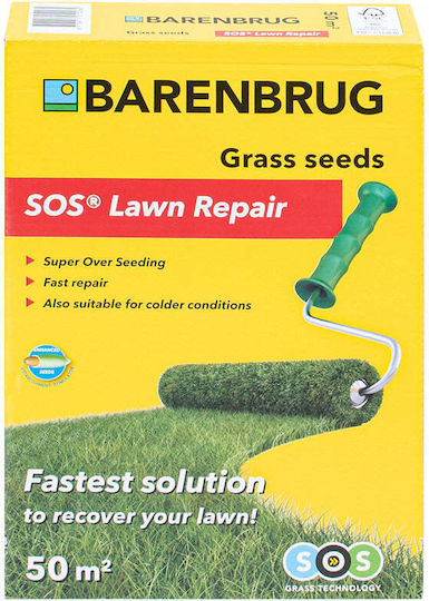 Barenbrug Σπόροι Πολύχρωμο 1kg