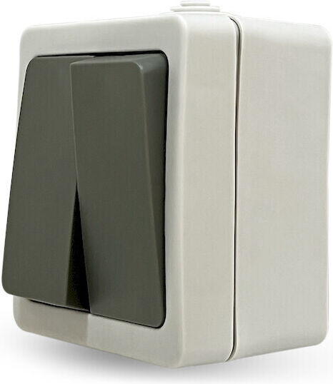 Geyer IP54 Waterproof Wall-Mounted Wall Switch Double with Frame Gray