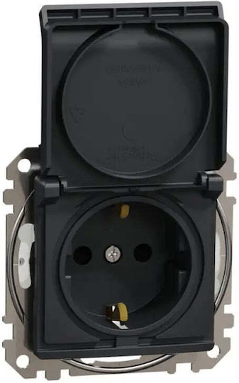 Schneider Electric Sedna Design Elements Schuko Steckdose Prad Schiene Ip44 Schwarz Anthrazit Sdd214023