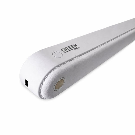 Green-lyca LED Sicherheitsleuchte 1Stück