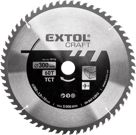 Disc De Tăiere Circular 300x3.0x30mm 60 Lama 19116 5000 Rpm