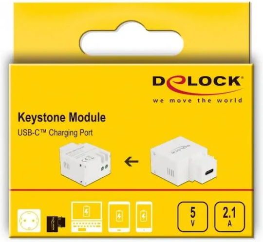 DeLock Module Keystone 1τμχ