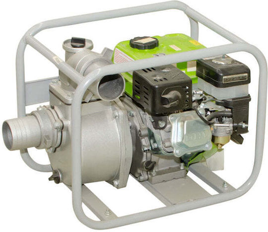 Gardenia Ltp80 Gasoline Pump