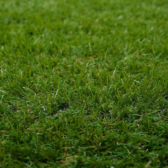 Synthetic Lawn Roll