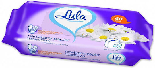 Body Wipes 60 Pieces