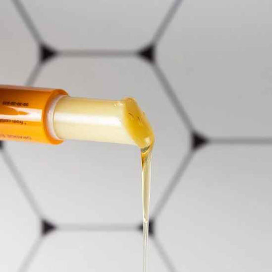 Apivita Lip Balm Honey 4.4gr