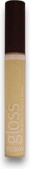 Aveda Feed My Lips Pure Nourish-Mint Lipgloss Silver Shimmer 10ml