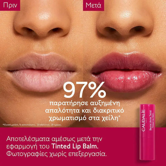 Caudalie Vinotherapist Lippenpflege Balsam 4.5gr
