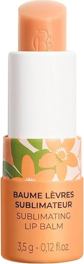 Roger & Gallet Lip Balm Orange 3.5gr