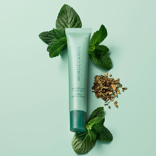 Moroccanoil Lip Balm Mint Tea 15gr