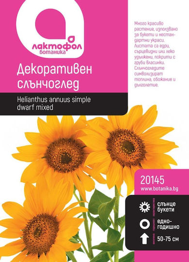 Seeds Decorative Sunflower Botanic
