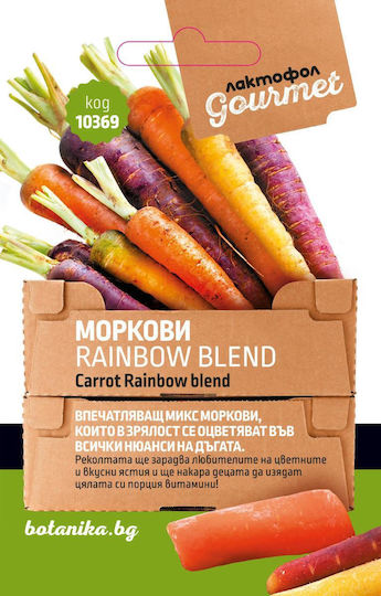 Carrot Seeds Rainbow Blend Botanica