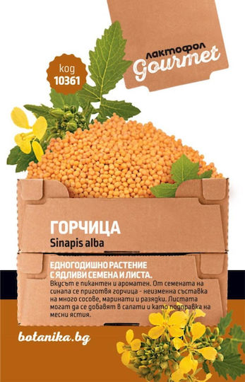 Gourmet Mustard Seeds