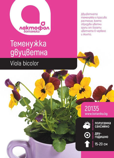 Large Viola Seeds Botanic