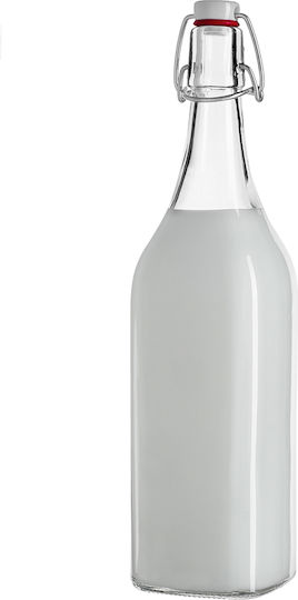 Kadax Μπουκάλι Νερού Γυάλινο με Κλιπ Διάφανο 1000ml 5 Τεμάχια Kadax Μπουκάλι Νερού Γυάλινο με Κλιπ Διάφανο 1000ml 5 Τεμάχια