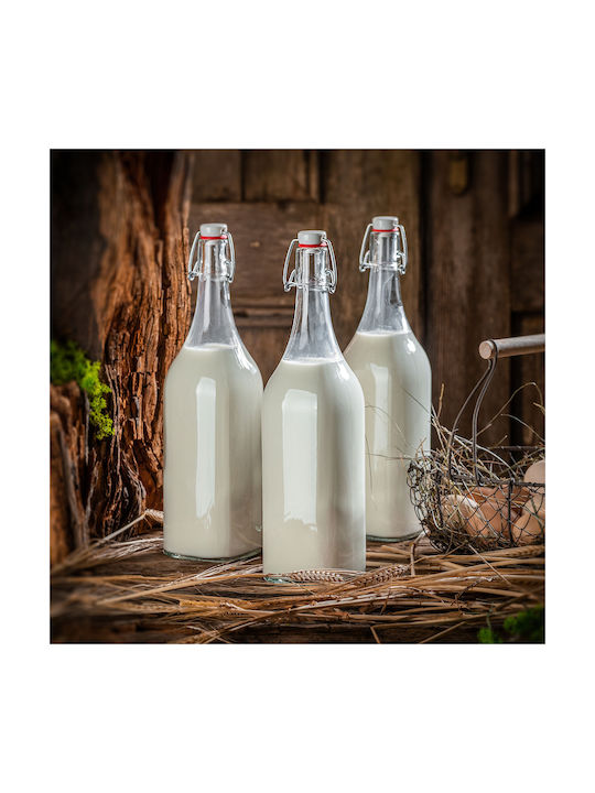 Kadax Μπουκάλι Νερού Γυάλινο με Κλιπ Διάφανο 1000ml 3 Τεμάχια