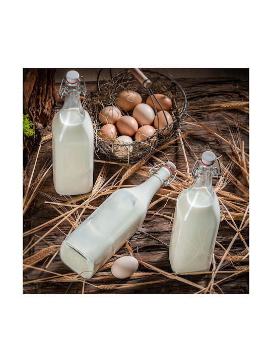 Kadax Μπουκάλι Νερού Γυάλινο με Κλιπ Διάφανο 1000ml 5 Τεμάχια