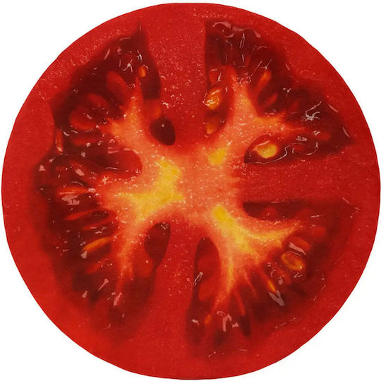 Deon Gartenstuhlkissen Tomate 40x40cm