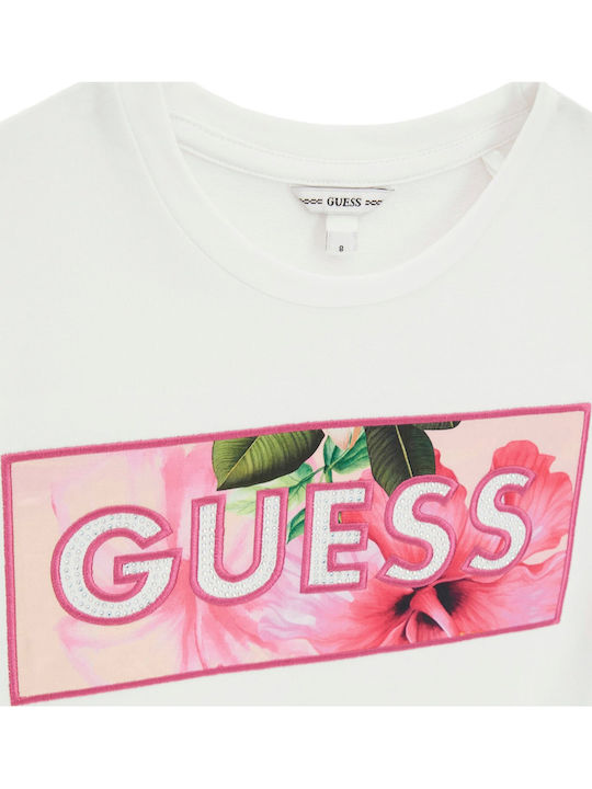 Guess Guess