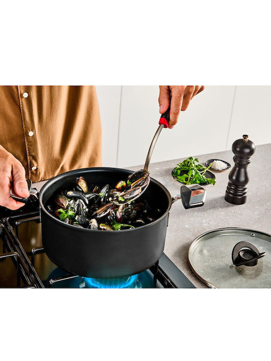 Tefal Excellence Oală de Lapte din Aluminiu 1.7l